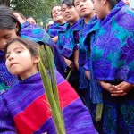 where to go for dental work in mexico