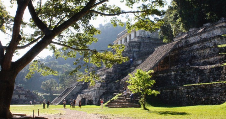 where to go for dental work in mexico
