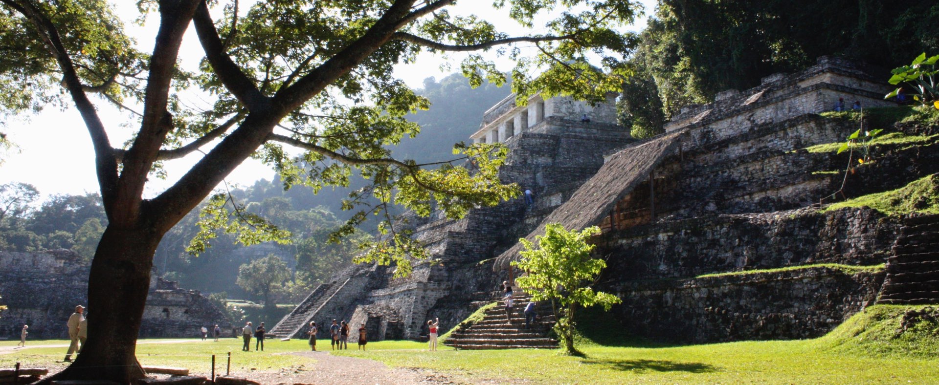 where to go for dental work in mexico